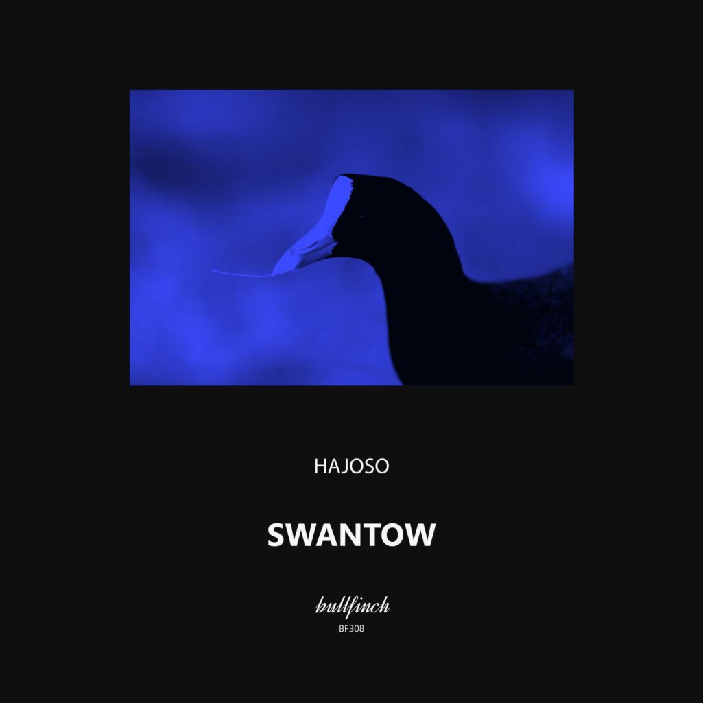 Hajoso - Swantow [BF308]